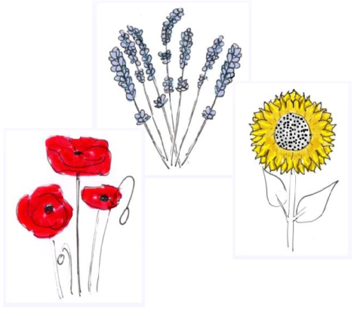 Blick in den “Wohlfühlgarten” auf “Lavendel”, “Mohnblume” und “Sonnenblume”: die drei Varianten meines Onlinekurses
