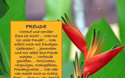 Impuls der Woche: Freude