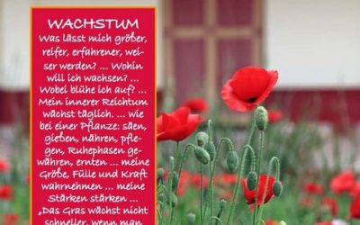 Impuls der Woche: Wachstum