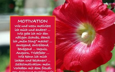 Impuls der Woche: Motivation